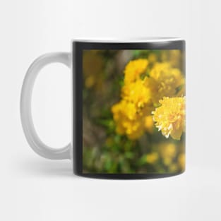 Kerria Japonica Pleniflora Mug